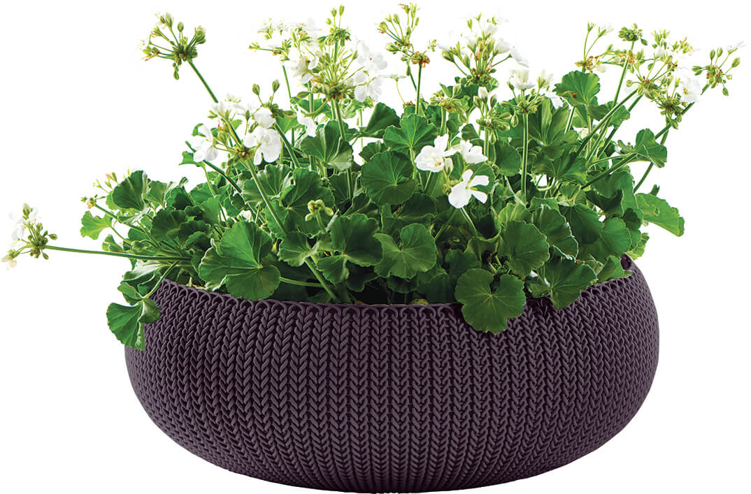 Кашпо Keter Cozies L